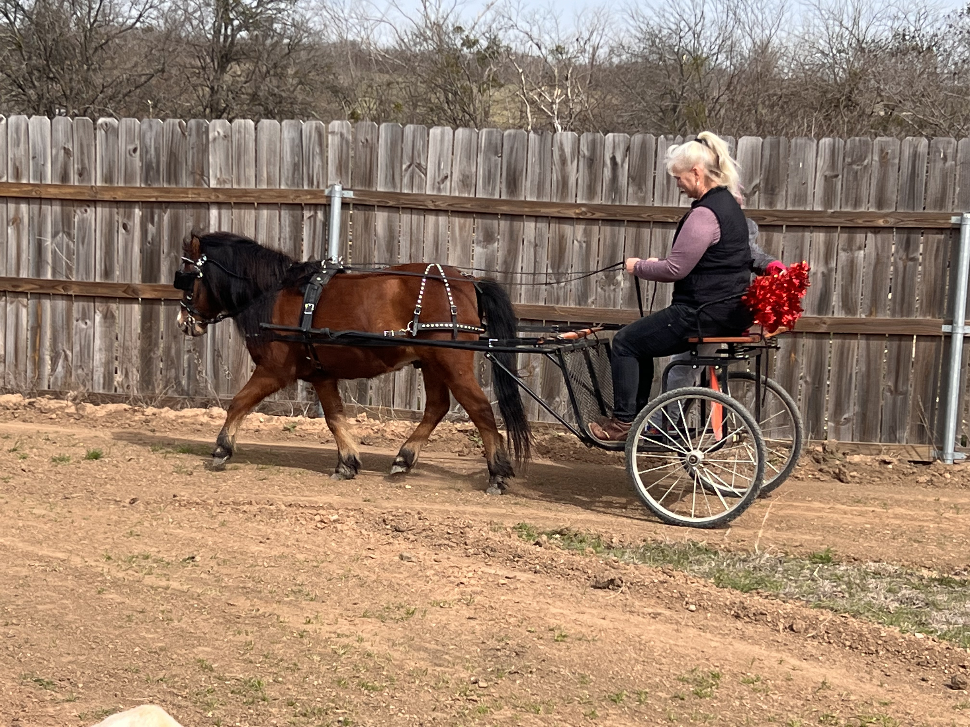 ./2023/02 - Texas/IMG_6855(1).jpg